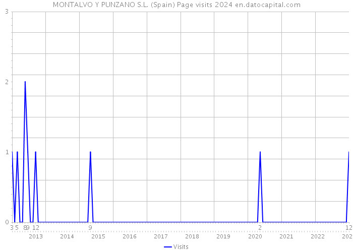 MONTALVO Y PUNZANO S.L. (Spain) Page visits 2024 