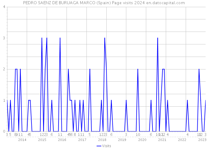 PEDRO SAENZ DE BURUAGA MARCO (Spain) Page visits 2024 