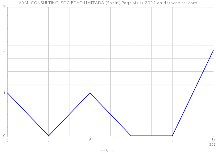 AYMI CONSULTING, SOCIEDAD LIMITADA (Spain) Page visits 2024 