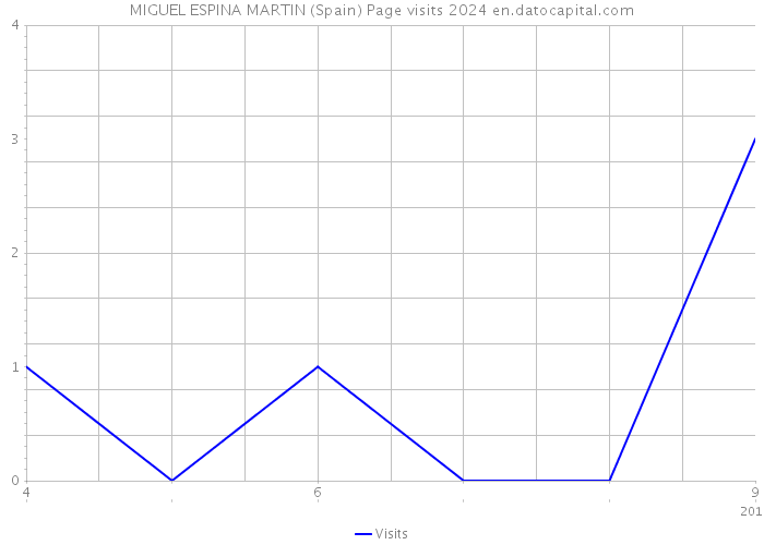 MIGUEL ESPINA MARTIN (Spain) Page visits 2024 