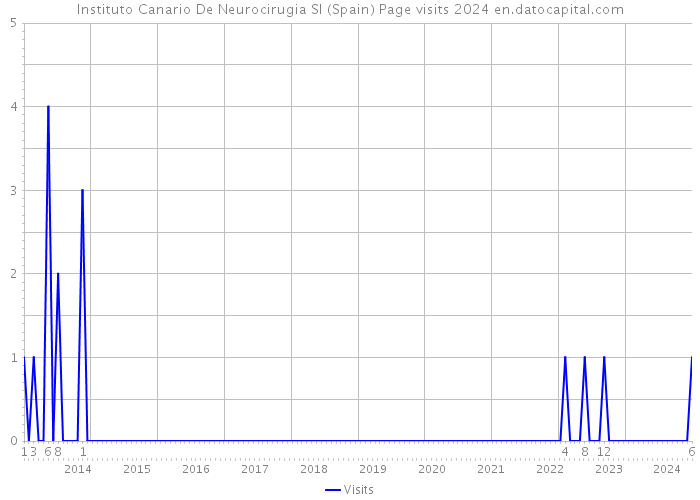 Instituto Canario De Neurocirugia Sl (Spain) Page visits 2024 