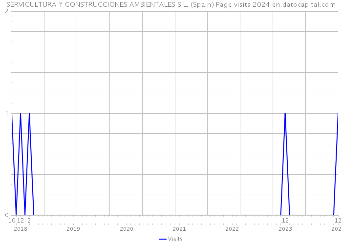 SERVICULTURA Y CONSTRUCCIONES AMBIENTALES S.L. (Spain) Page visits 2024 