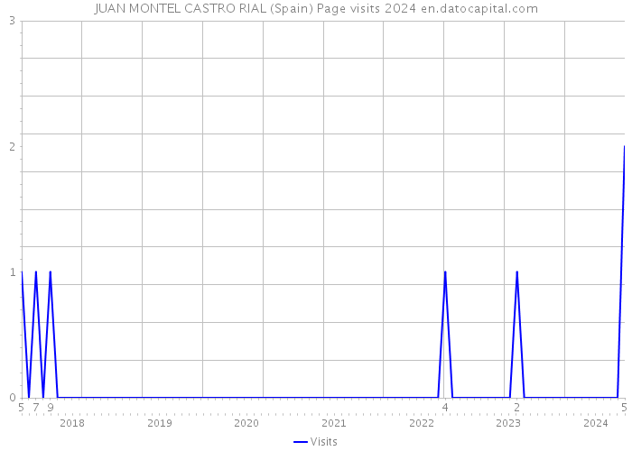 JUAN MONTEL CASTRO RIAL (Spain) Page visits 2024 