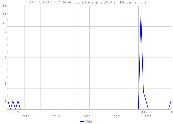 JOAN TEJADA RINCONADA (Spain) Page visits 2024 