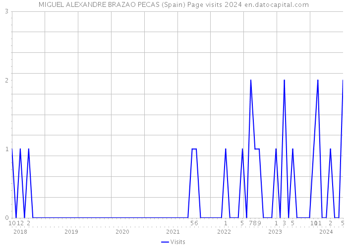 MIGUEL ALEXANDRE BRAZAO PECAS (Spain) Page visits 2024 