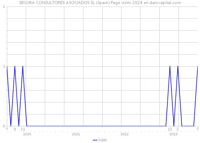 SEGURA CONSULTORES ASOCIADOS SL (Spain) Page visits 2024 