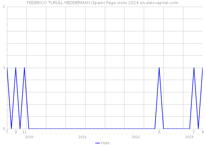 FEDERICO TURULL NEDDERMAN (Spain) Page visits 2024 