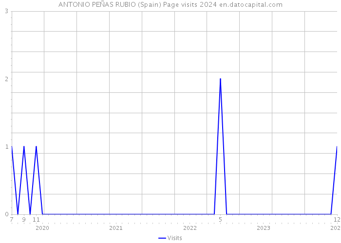 ANTONIO PEÑAS RUBIO (Spain) Page visits 2024 