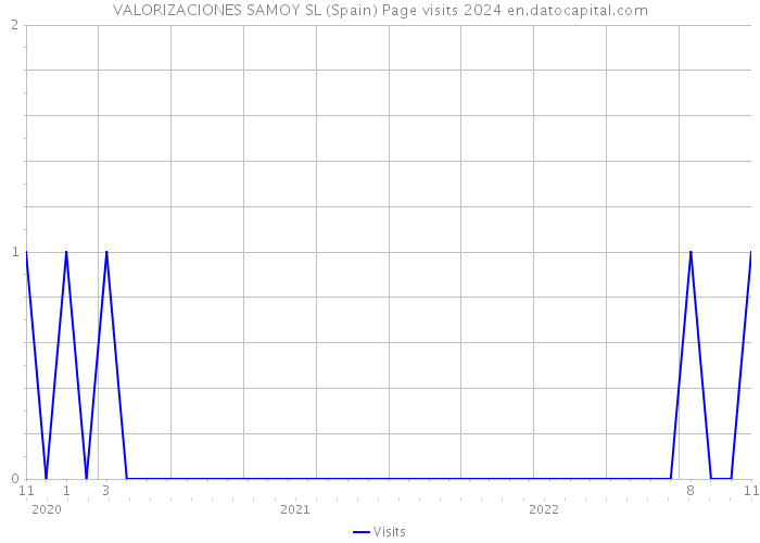 VALORIZACIONES SAMOY SL (Spain) Page visits 2024 