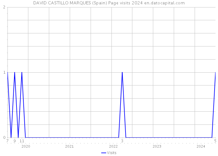 DAVID CASTILLO MARQUES (Spain) Page visits 2024 