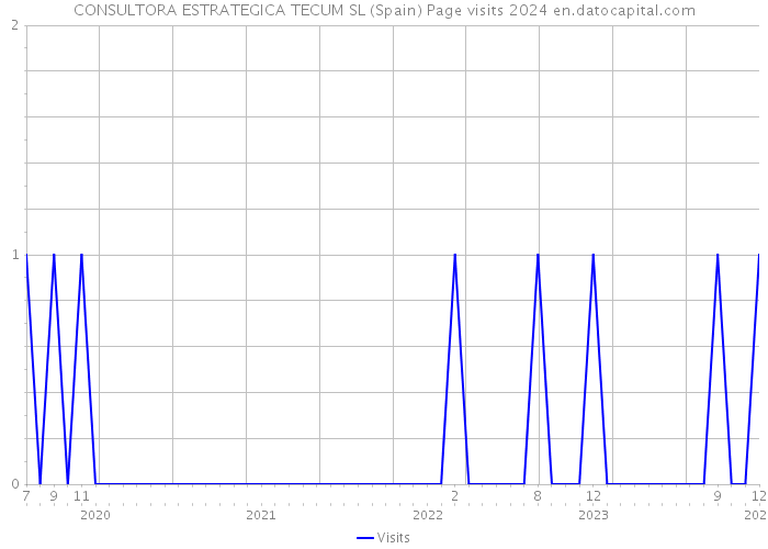 CONSULTORA ESTRATEGICA TECUM SL (Spain) Page visits 2024 