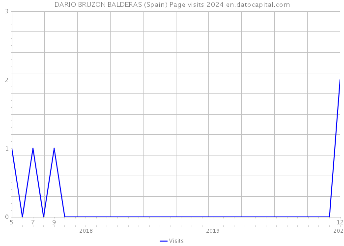 DARIO BRUZON BALDERAS (Spain) Page visits 2024 