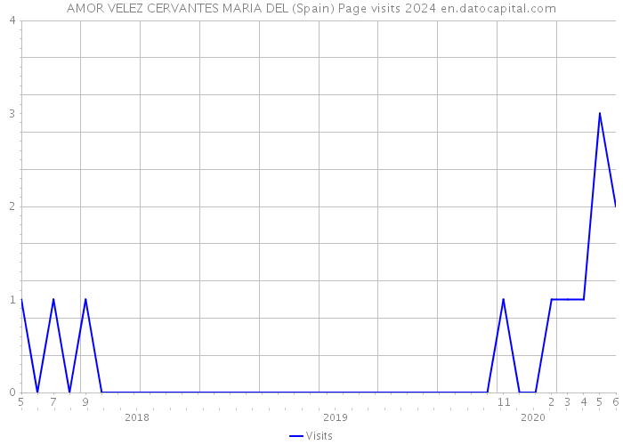 AMOR VELEZ CERVANTES MARIA DEL (Spain) Page visits 2024 