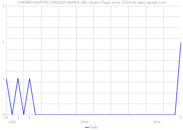 CARMEN MARTIN CARDOSO MARIA DEL (Spain) Page visits 2024 