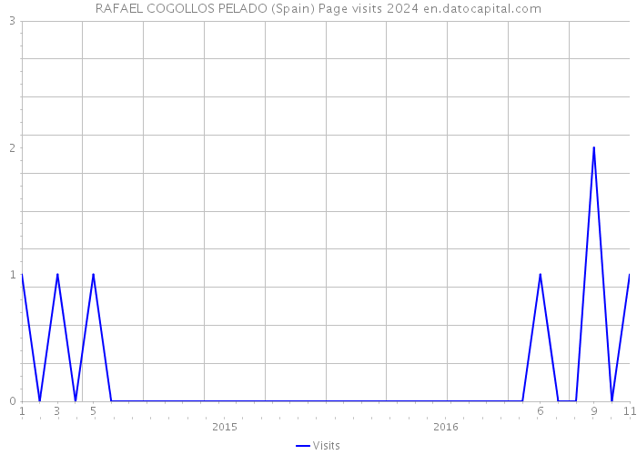 RAFAEL COGOLLOS PELADO (Spain) Page visits 2024 