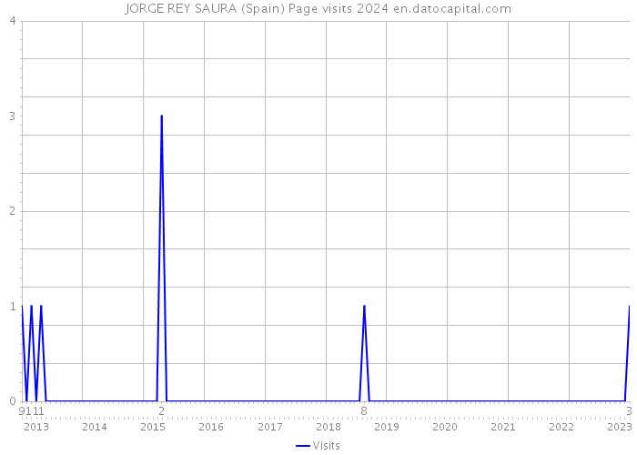 JORGE REY SAURA (Spain) Page visits 2024 