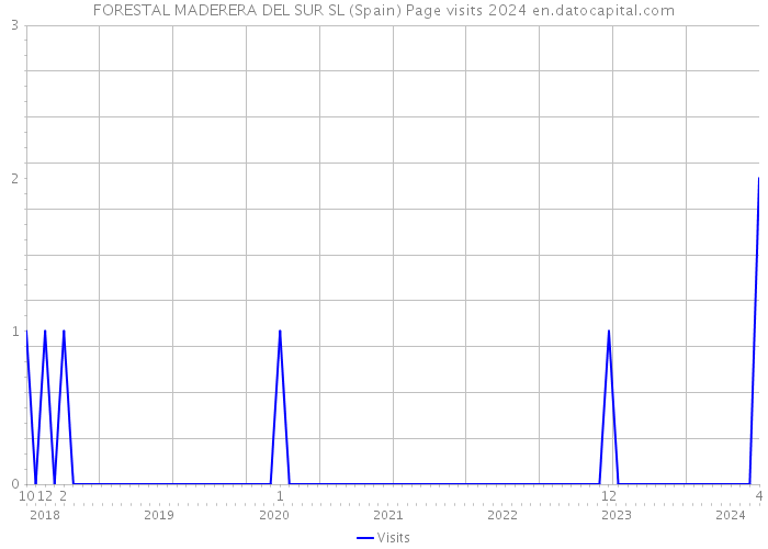 FORESTAL MADERERA DEL SUR SL (Spain) Page visits 2024 