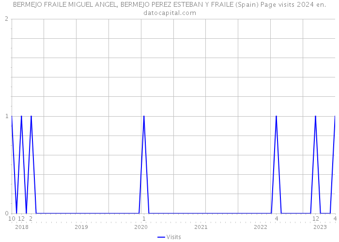 BERMEJO FRAILE MIGUEL ANGEL, BERMEJO PEREZ ESTEBAN Y FRAILE (Spain) Page visits 2024 