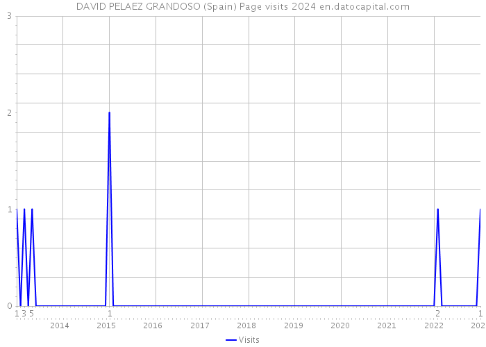 DAVID PELAEZ GRANDOSO (Spain) Page visits 2024 