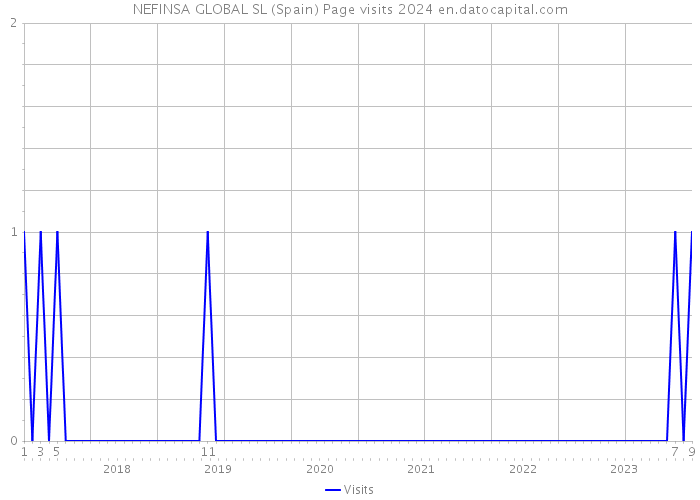 NEFINSA GLOBAL SL (Spain) Page visits 2024 