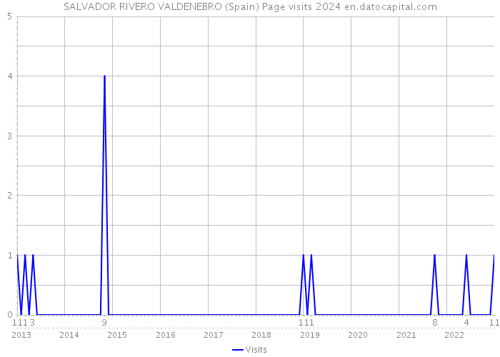 SALVADOR RIVERO VALDENEBRO (Spain) Page visits 2024 
