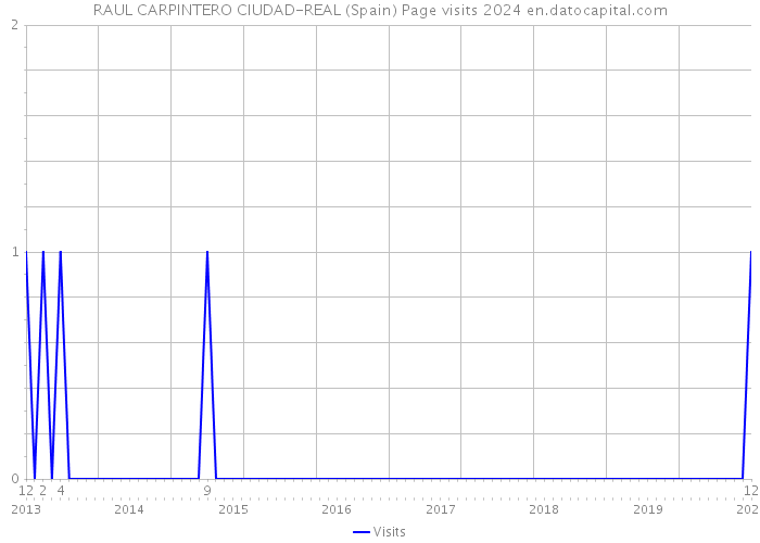 RAUL CARPINTERO CIUDAD-REAL (Spain) Page visits 2024 