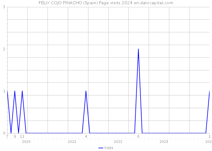 FELIX COJO PINACHO (Spain) Page visits 2024 