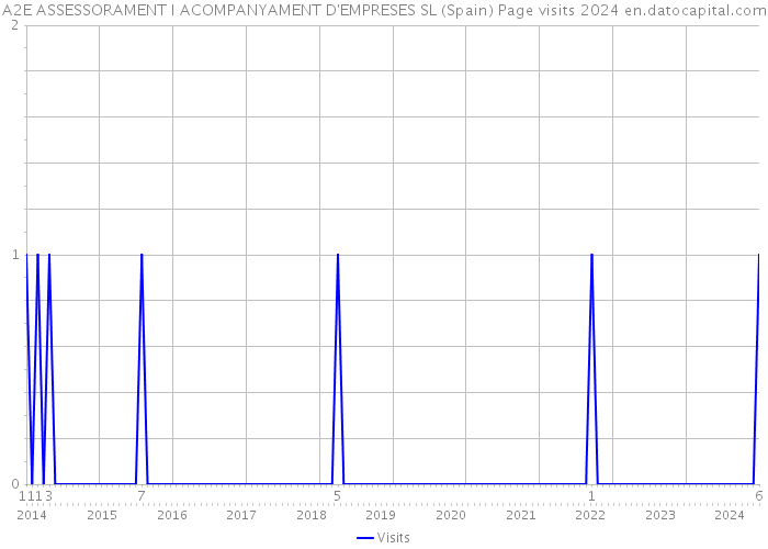 A2E ASSESSORAMENT I ACOMPANYAMENT D'EMPRESES SL (Spain) Page visits 2024 