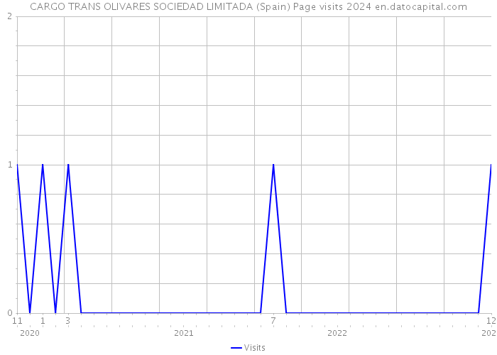 CARGO TRANS OLIVARES SOCIEDAD LIMITADA (Spain) Page visits 2024 