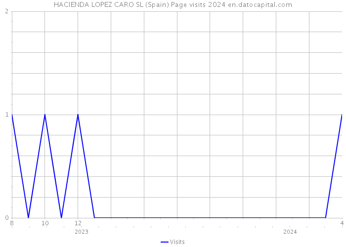 HACIENDA LOPEZ CARO SL (Spain) Page visits 2024 