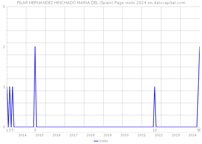 PILAR HERNANDEZ HINCHADO MARIA DEL (Spain) Page visits 2024 