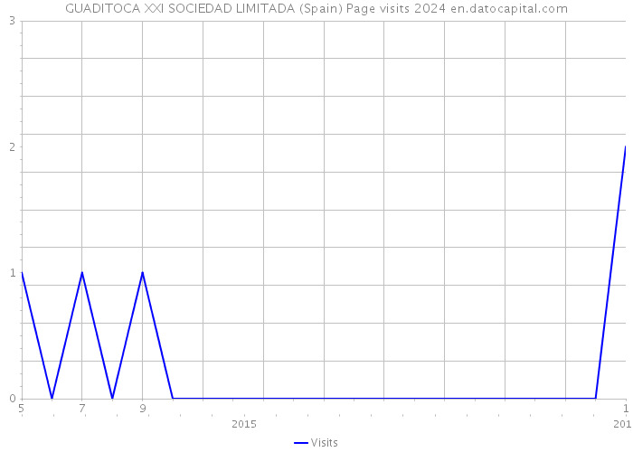 GUADITOCA XXI SOCIEDAD LIMITADA (Spain) Page visits 2024 