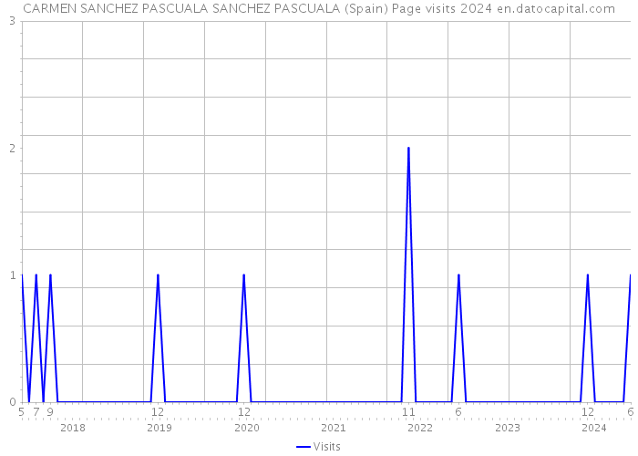 CARMEN SANCHEZ PASCUALA SANCHEZ PASCUALA (Spain) Page visits 2024 