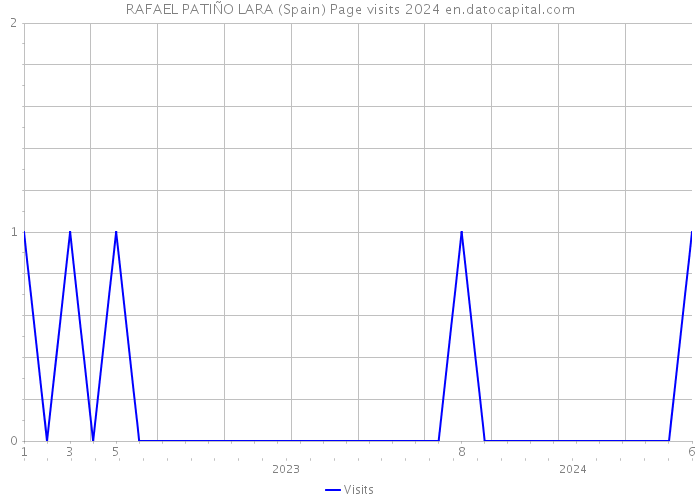 RAFAEL PATIÑO LARA (Spain) Page visits 2024 