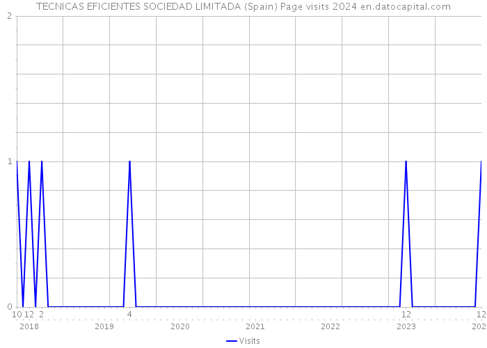 TECNICAS EFICIENTES SOCIEDAD LIMITADA (Spain) Page visits 2024 