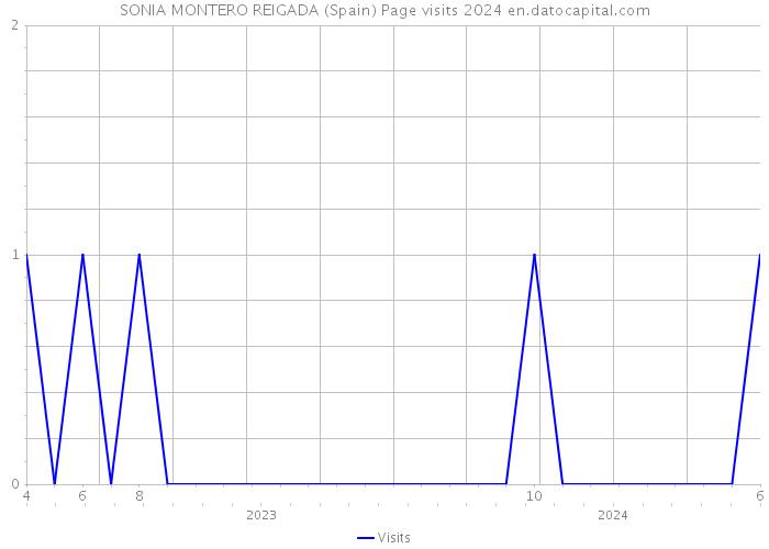 SONIA MONTERO REIGADA (Spain) Page visits 2024 