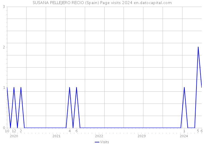 SUSANA PELLEJERO RECIO (Spain) Page visits 2024 