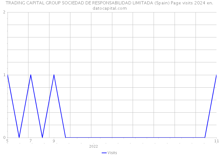 TRADING CAPITAL GROUP SOCIEDAD DE RESPONSABILIDAD LIMITADA (Spain) Page visits 2024 