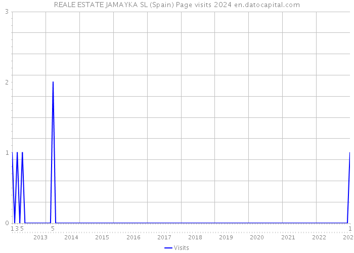 REALE ESTATE JAMAYKA SL (Spain) Page visits 2024 