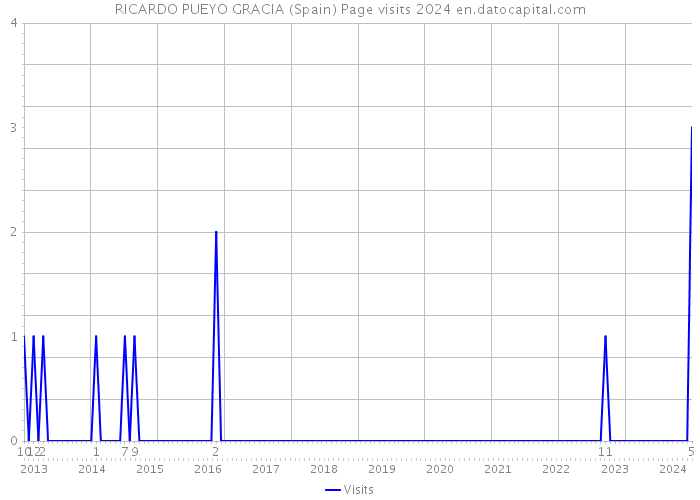 RICARDO PUEYO GRACIA (Spain) Page visits 2024 