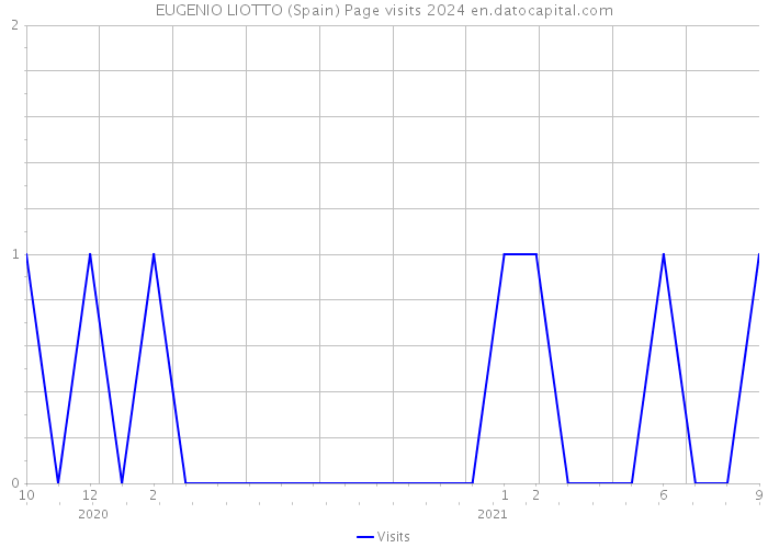 EUGENIO LIOTTO (Spain) Page visits 2024 