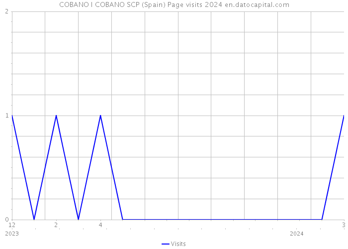 COBANO I COBANO SCP (Spain) Page visits 2024 
