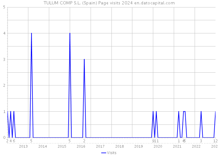 TULUM COMP S.L. (Spain) Page visits 2024 