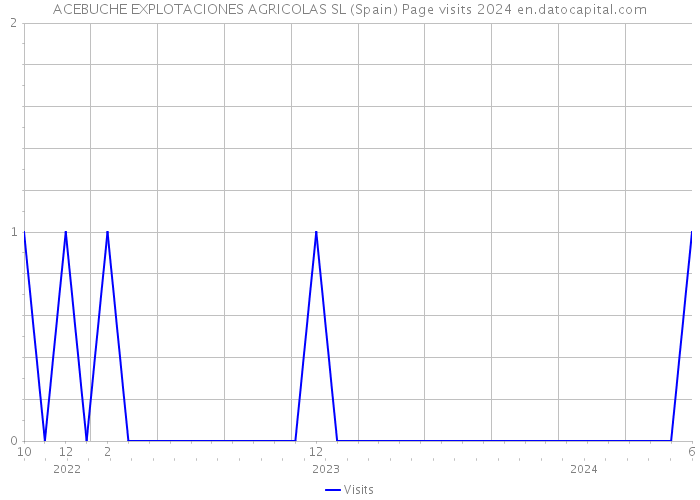 ACEBUCHE EXPLOTACIONES AGRICOLAS SL (Spain) Page visits 2024 