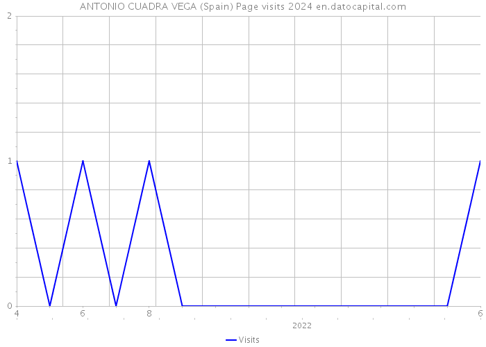 ANTONIO CUADRA VEGA (Spain) Page visits 2024 