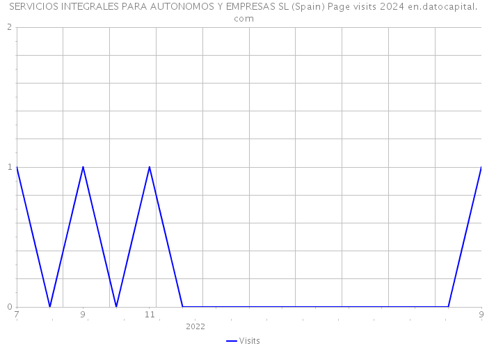 SERVICIOS INTEGRALES PARA AUTONOMOS Y EMPRESAS SL (Spain) Page visits 2024 