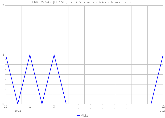 IBERICOS VAZQUEZ SL (Spain) Page visits 2024 