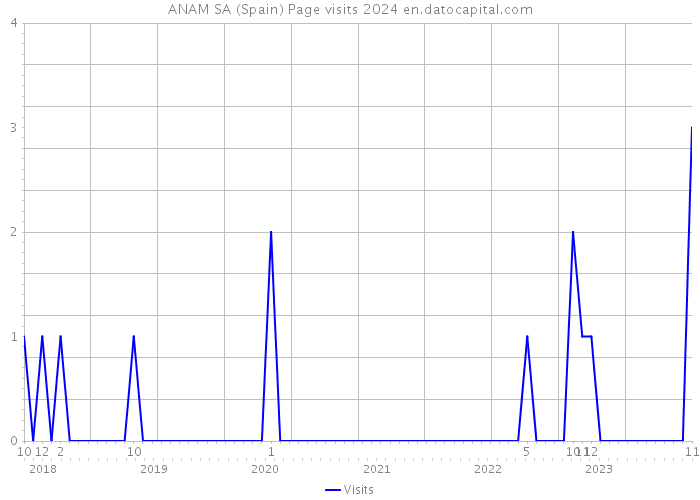 ANAM SA (Spain) Page visits 2024 
