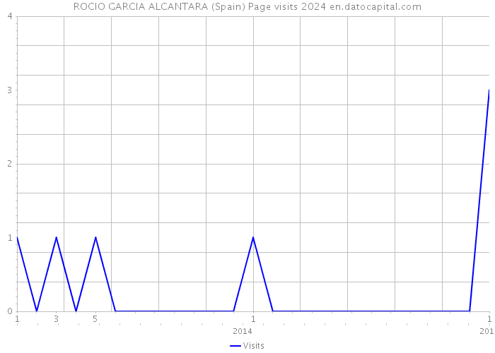 ROCIO GARCIA ALCANTARA (Spain) Page visits 2024 