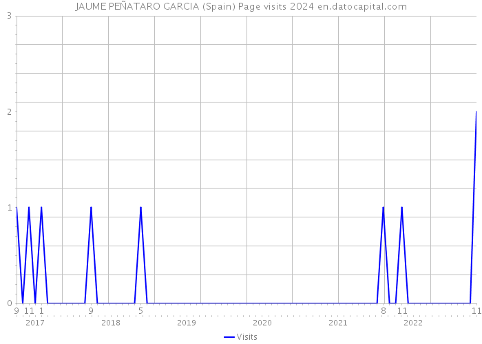 JAUME PEÑATARO GARCIA (Spain) Page visits 2024 